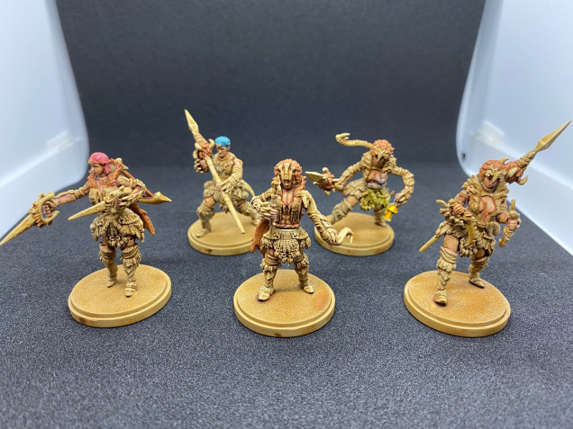 Kingdom Death Monster Lion Armour Survivors