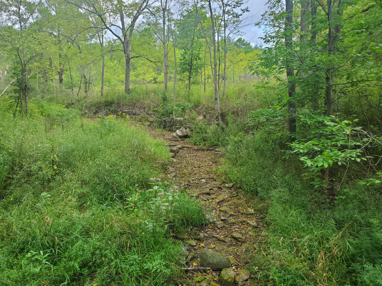 While it has been VERY warm this year, the summers in this area do tend to be a bit on the warm side, so dried stream beds such as this will be common in summer, but will be quite vigorous during the spring thaws.