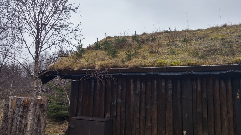 Jumping further north to Lofoten, there's a few extra things related to building that I wanted to touch on. This is something that is still quite common in rural areas of Norway, from what I saw, and that is soil on rooves. It's a very simple form of insulation that has been used for centuaries and may be useful for people wanting to build older buildings for their historical games.