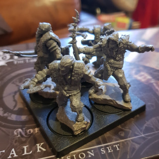 Stalkers and custodes oh my!