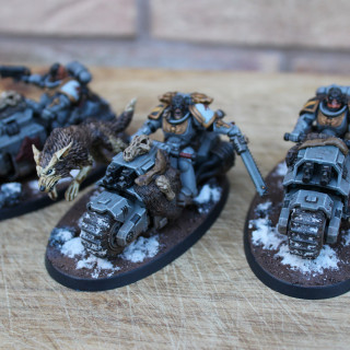 Painting and weathering the Outriders