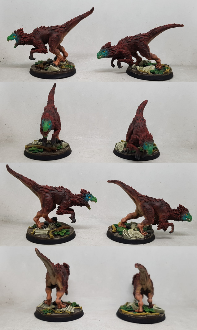 2x Raptors, Amazons, Bloodfields by Titan Forge