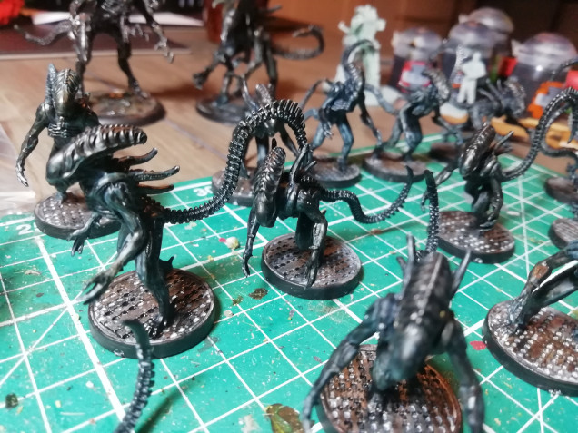 I got through all the aliens today. Black contrast with s bit of brown. They look ok next to the prodos versions below