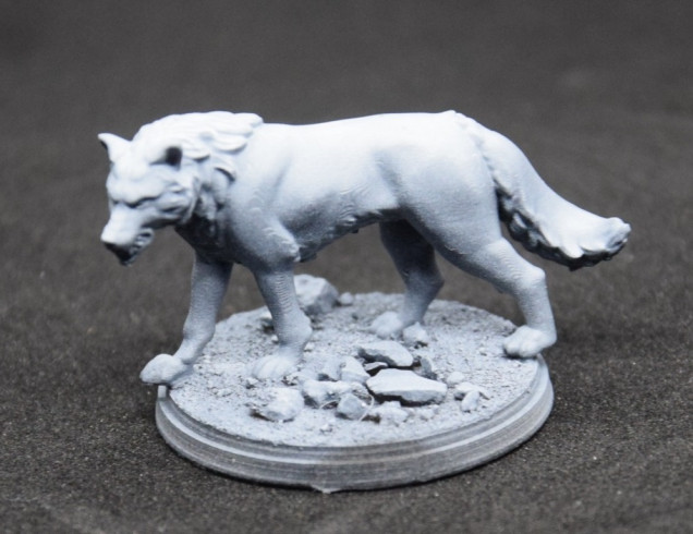 I primed the miniature in black and added a zenithal highlight of pure white.