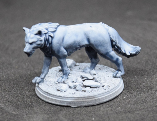 For the fur, I simply used Citadel Contrast Space Wolf Grey. It's a great way to efficiently add shadows, and keep the zenithal highlight.