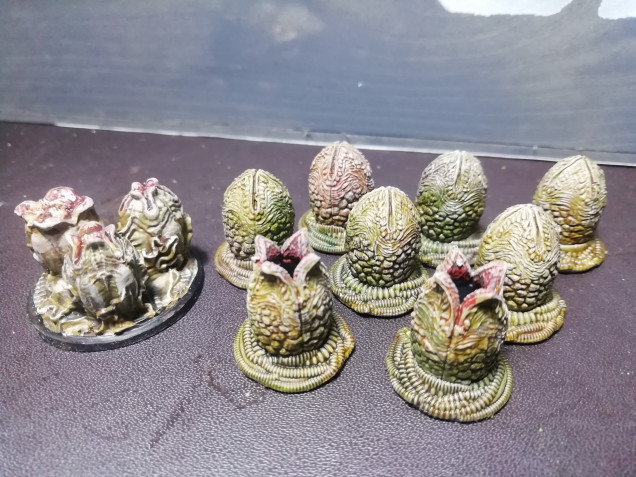 Comparison with prodos eggs. I used a mix if dune and Ork skin contrast paints