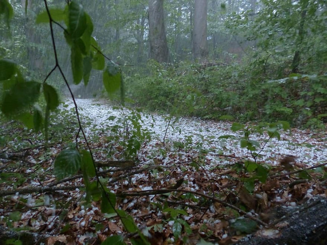 Actual photo of a hailstorm in Neverwinter Wood