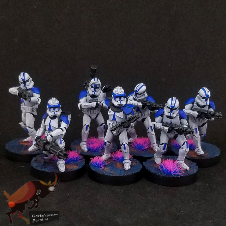 501st phase two squad