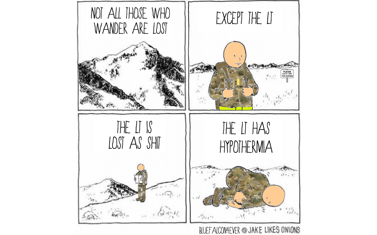 It's actually a modification of an original comic where 'Lt' is replaced with 'Tim'. The original authour and the chap who modified it have their tags in the bottom left.