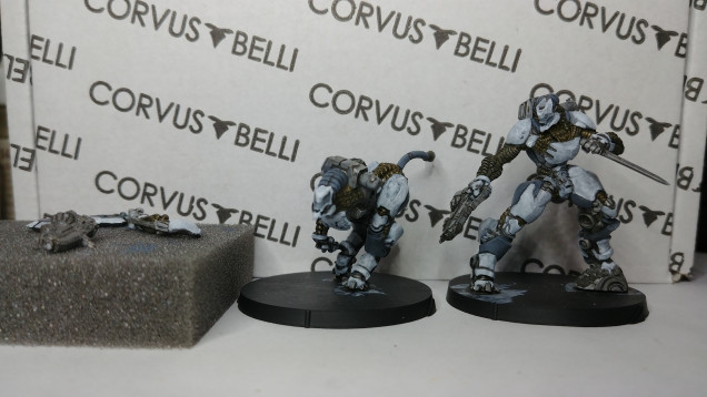 Initial block in of white, grey and bronze (Old Bronze - 09197 with a Brown Liner wash).  Note I left the back plates off both as well as the cat forms leg and gun.  