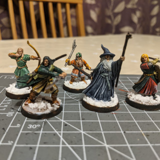 Frostgrave Warband