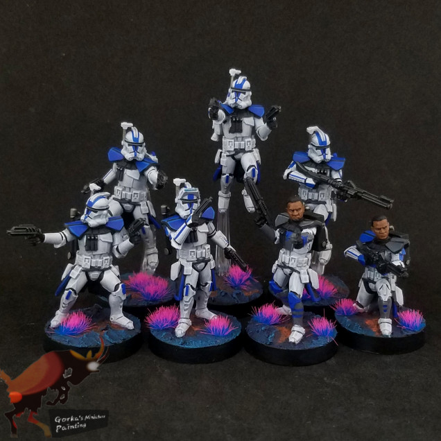 The arc troopers and the completion of the army