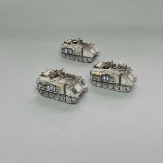 First mechanised platoons and support