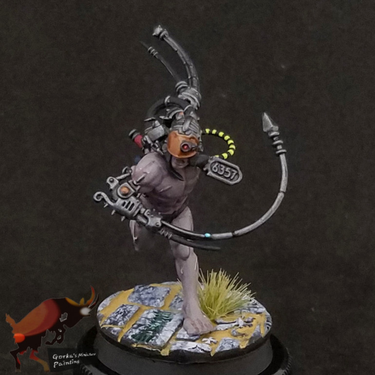 Arco-flagellant unit 2