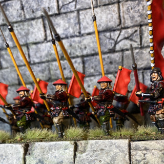 Ten more Ashigaru Yari painted.