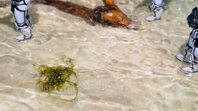 bubbles in the clear fix are viewable here on the seaweed