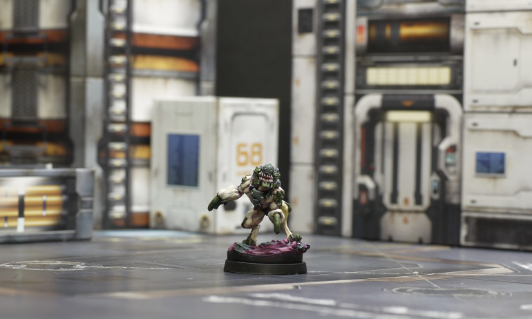 Better pics & new terrain