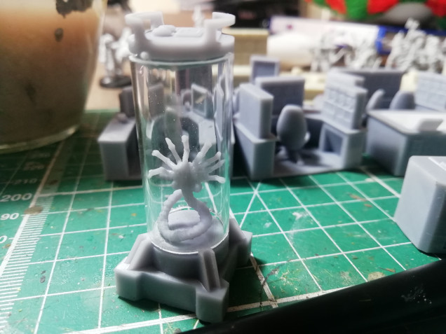 So I have a hole host if scenery pieces from combat zone designed to enhance the board game. I have a lot if doors to work on and desks but my favourite are the facehuggers in their stasis tubes