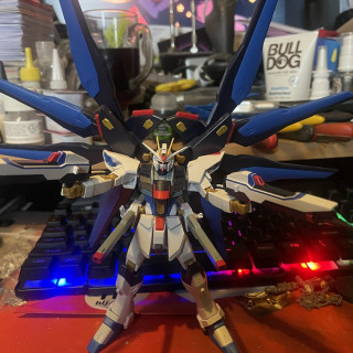 Strike Freedom & Infinite Justice Gundams