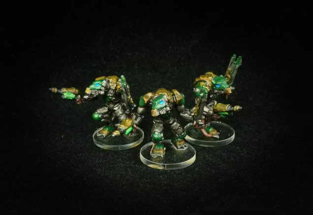 Volt Stalkers painted by Paul