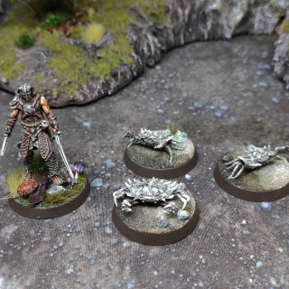 Beast Encounters and Objective Markers