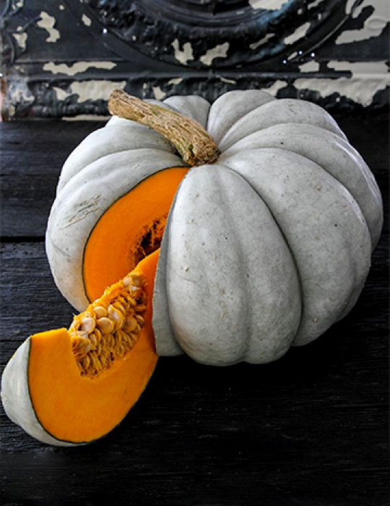 And this is a Jarrahdale pumpkin that is way more common here in Australia and it looks nicer than just a uniform bunch of Orange ones