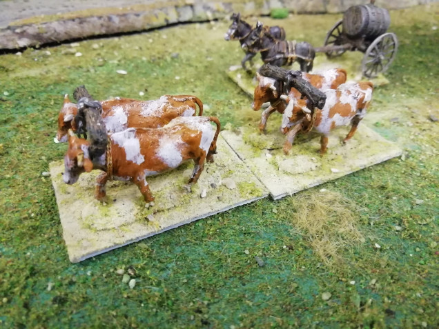 I had a look at local cattle to get the colours right. The scenario I'm working towards has a number of wagons that have to cross the board so I needed something to pull them