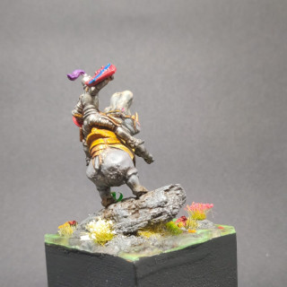 Spring Cleaning Hobby Challenge: Ambush on the River Horse Knight