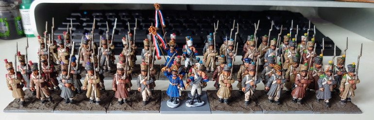 Finally finished painting the second battalion of French