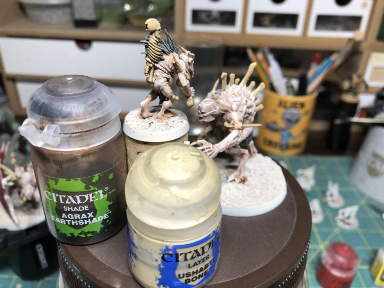 Bones, skeletons and spines are given a layer of Ushabti Bone and shaded with Agrax Earthshade.  Do not use too big a brush as you do not want to affect  the skin paint job. You may also use Ushabti bone for the ropes/ties or an alternate light brown color.