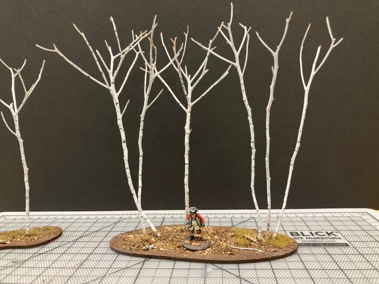 Basic Winter Birch Trees
