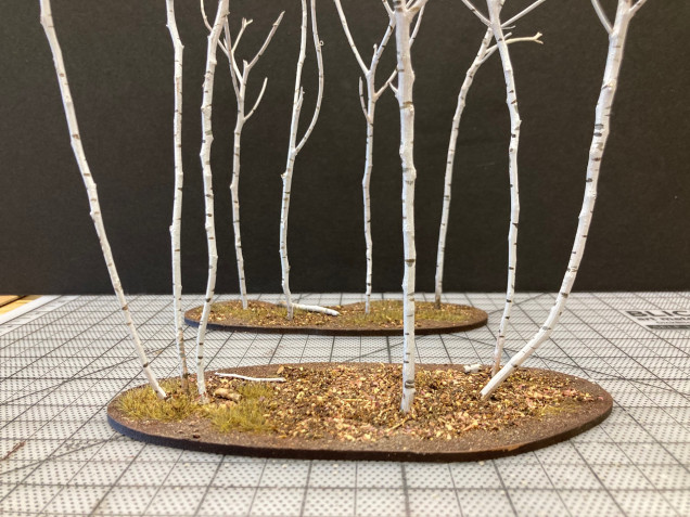 Basic Winter Birch Trees