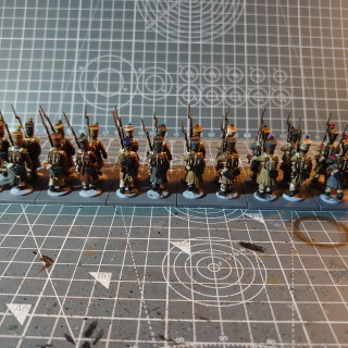 Weeknight Progress - Basing French Infantry