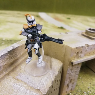 ARC troopers