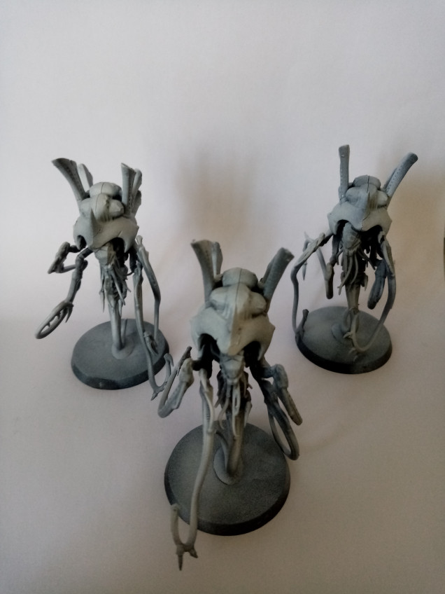 I primed my models with grey and then white from the top so now I am ready to paint