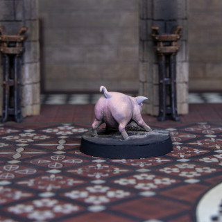 This little piggy waited for some models.