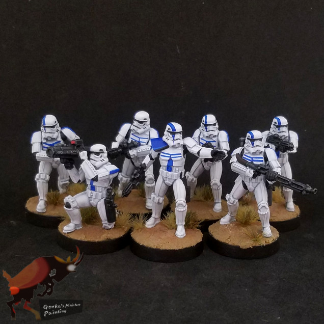 501st stormtroopers