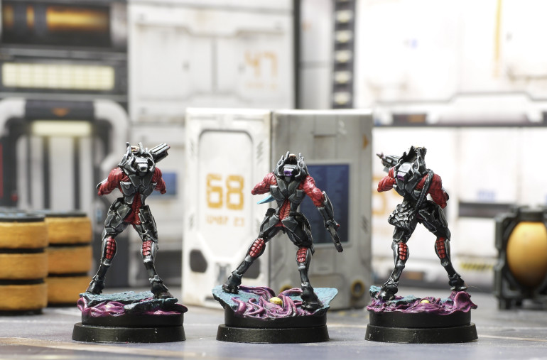 Better Nox Pics (this time with more Lloyd)