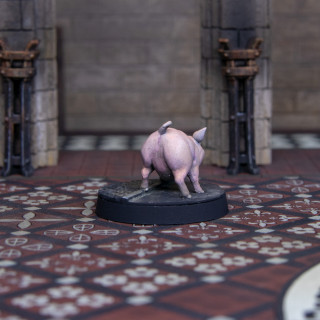 This little piggy waited for some models.