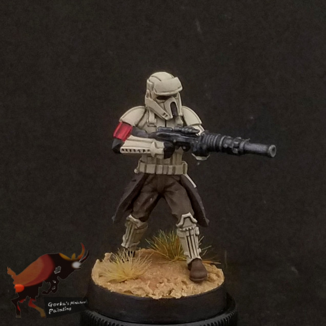 Shoretroopers