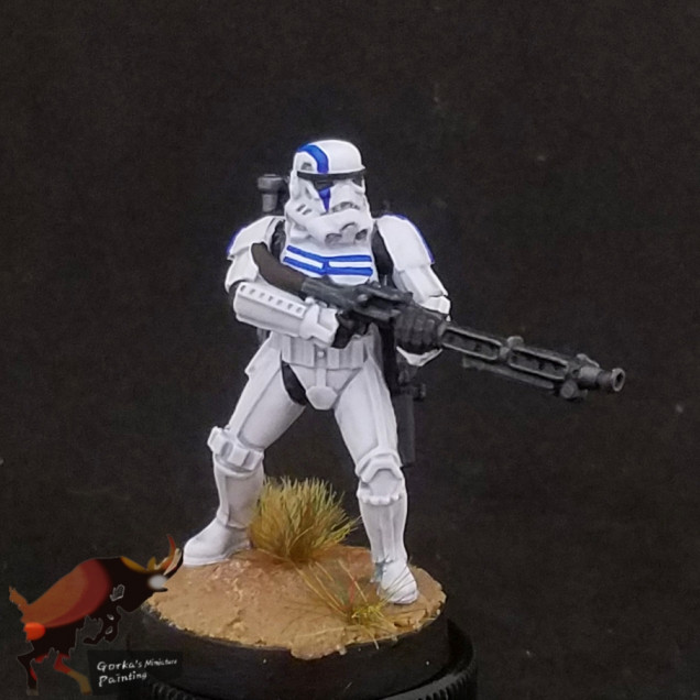 501st stormtroopers