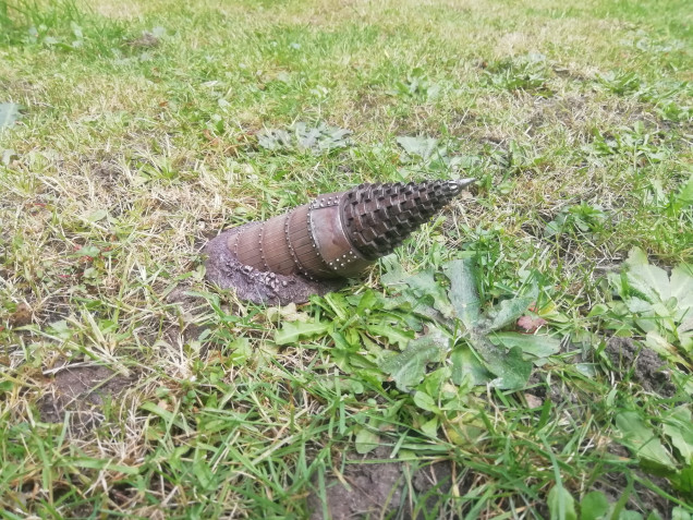 I was sitting in the garden today when up popped this mole machine full of lost Victorians searching for the Earth's core