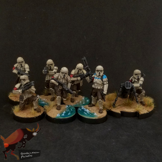 Shoretroopers