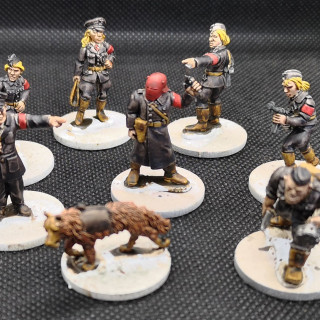 Home Guard & Nazis - Finished & Campaign Thoughts