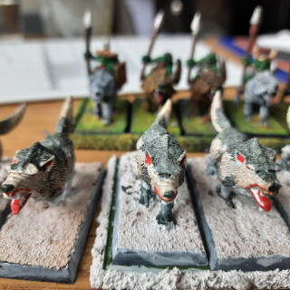 Wolf riders