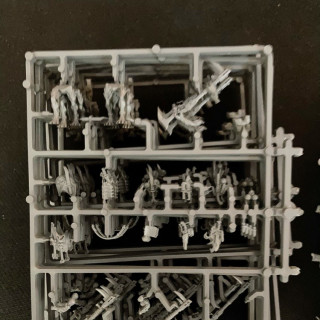 32x Kroot on sprue