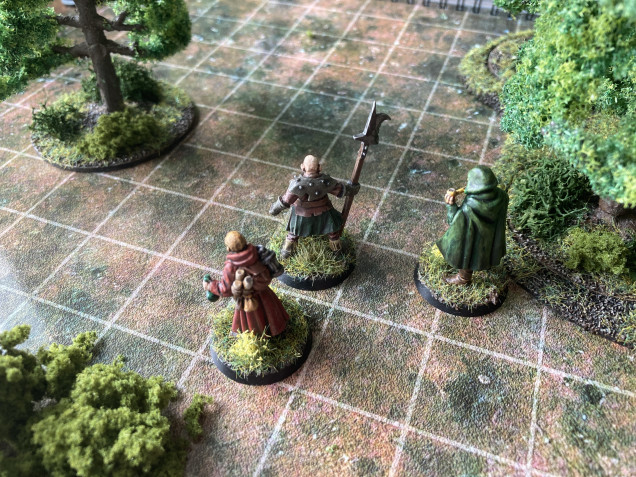 While Berred and Sir Brian split off to investigate a suspicious tree the others continued deeper, with Trotter the tracker keeping track. It was then that the sun was covered by some deep dark clouds plunging the woods into shadows and making shooting much harder, and spiders more excitable.