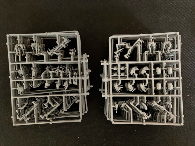 32x Kroot on sprue