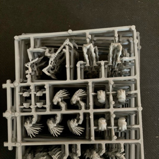 32x Kroot on sprue