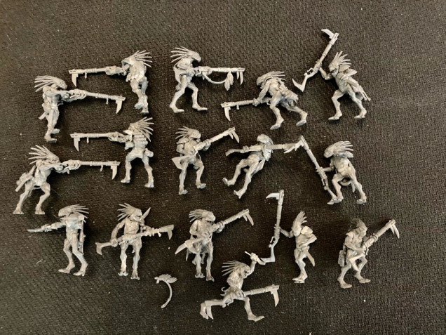 16x unpainted Kroot